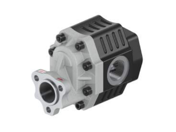 Hipomak DP 30-61 BD UNI — шестерёнчатый насос (серия 30, UNI, реверсивный (двунаправленный))